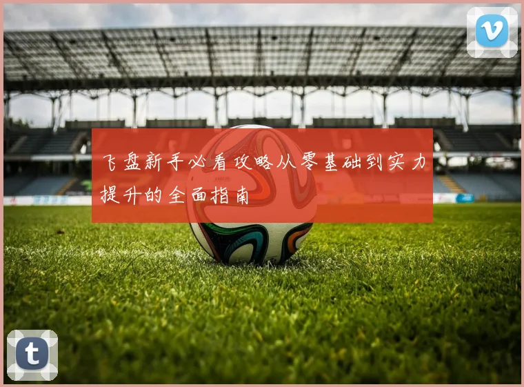 飞盘新手必看攻略从零基础到实力提升的全面指南