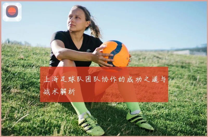 上海足球队团队协作的成功之道与战术解析